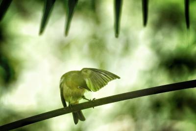 木陰でひと休みの写真