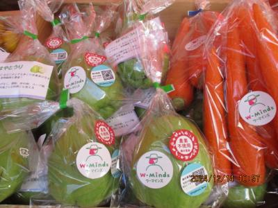 女性農業者の野菜の写真