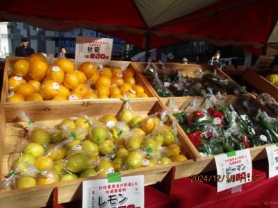 果物と野菜の写真