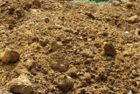 環境講座の写真