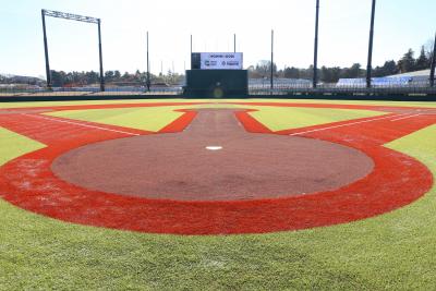 ジャイアンツタウンスタジアの画像