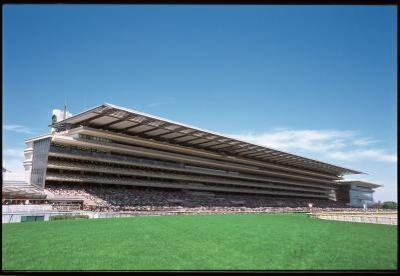 東京競馬場の写真
