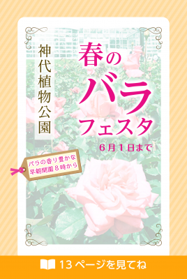 春のバラフェスタについての注目画像