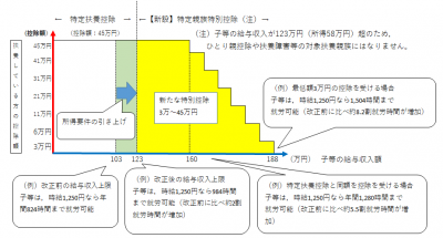 特定親族特別控除を示した画像