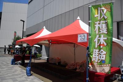 収穫体験ブースの様子