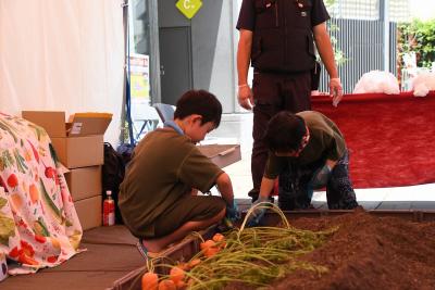 収穫体験の様子