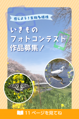 市報8月5日号11面の注目コンテンツ画像