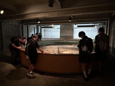 本川小学校パノラマ見学の様子