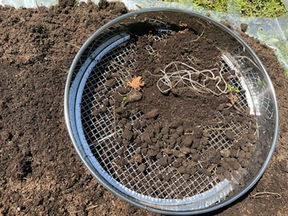 土をふるいにかけている画像