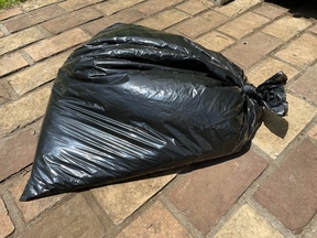 土の入ったビニール袋を日光に当てている画像