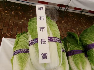 市長賞をいただいた白菜