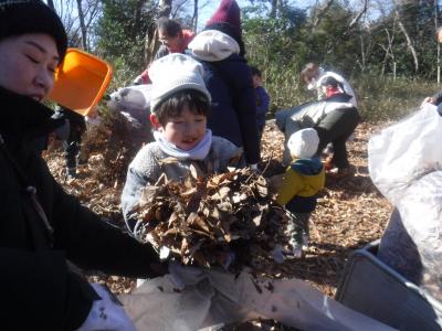 落ち葉ひろいの様子