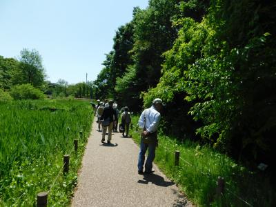 いきいき講座シニア向けゆっくり歴史散歩の散歩の様子の写真