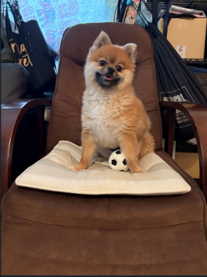 椅子に座っている写真