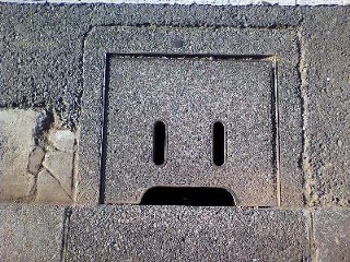 コンクリますの写真