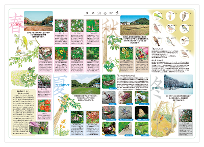 カニ山編の裏画像