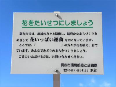 花いっぱい運動の看板の写真