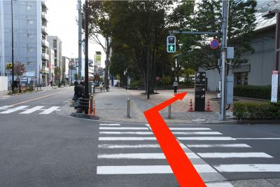 たづくりの正面までの画像