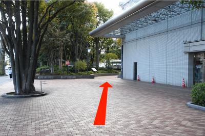 たづくりから市役所正面までの画像