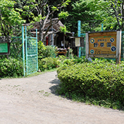 公園のサムネイル画像