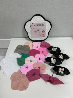 ふじみ交流プラザ2月梅の花の装飾の写真